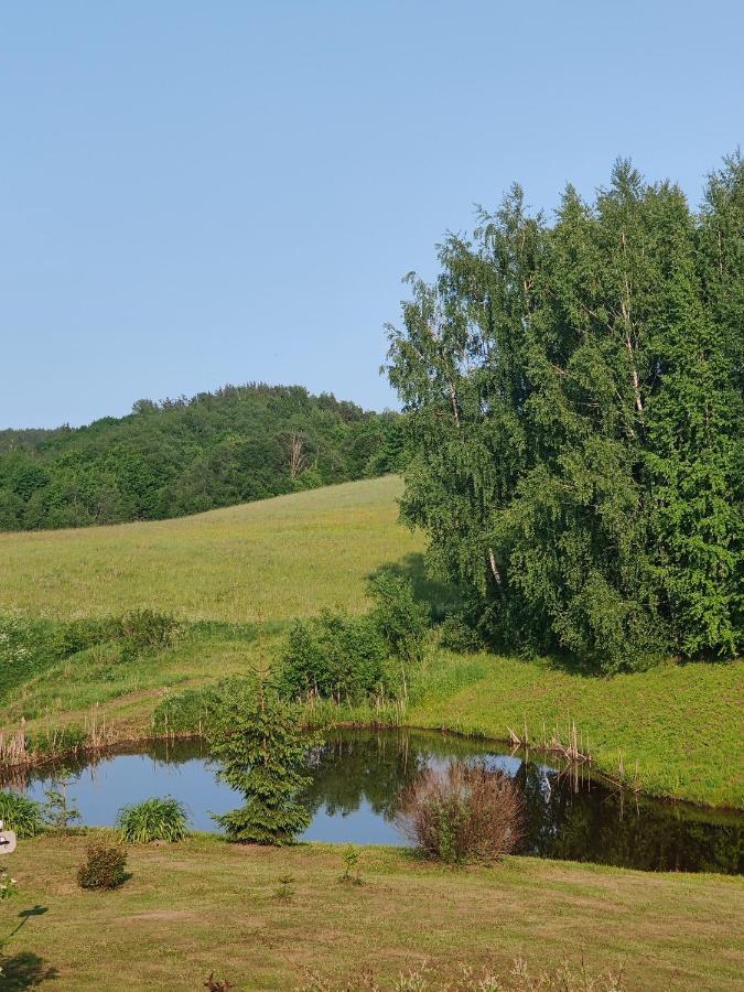 Villa Zalioji Paduyelis Exterior foto