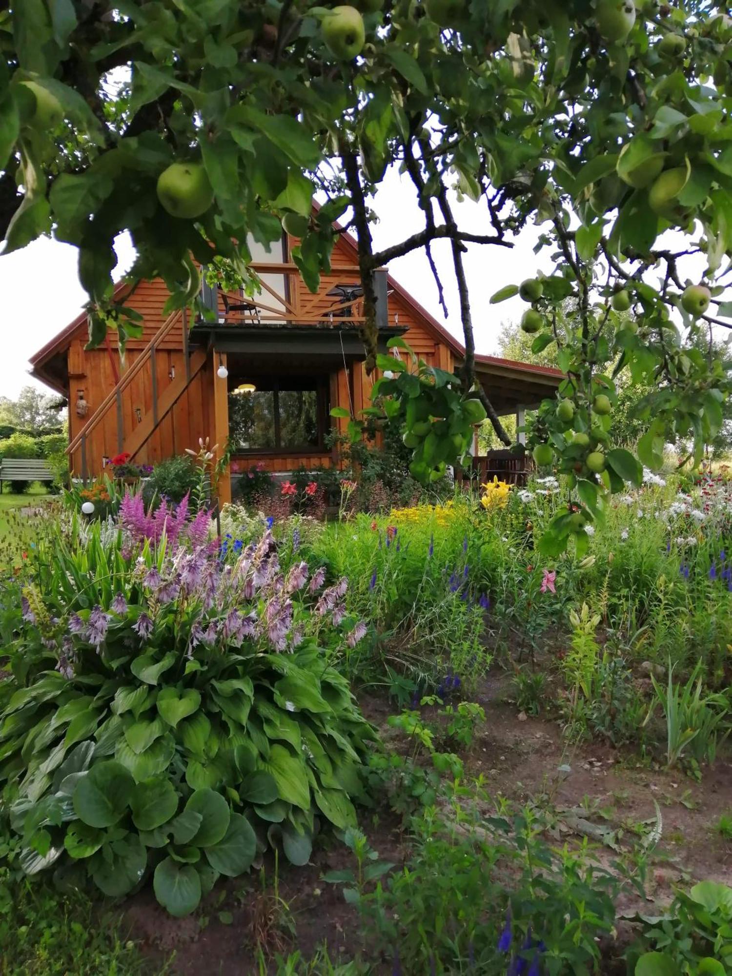 Villa Zalioji Paduyelis Zimmer foto